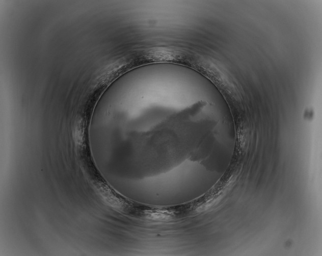 X0000100330359200806121133