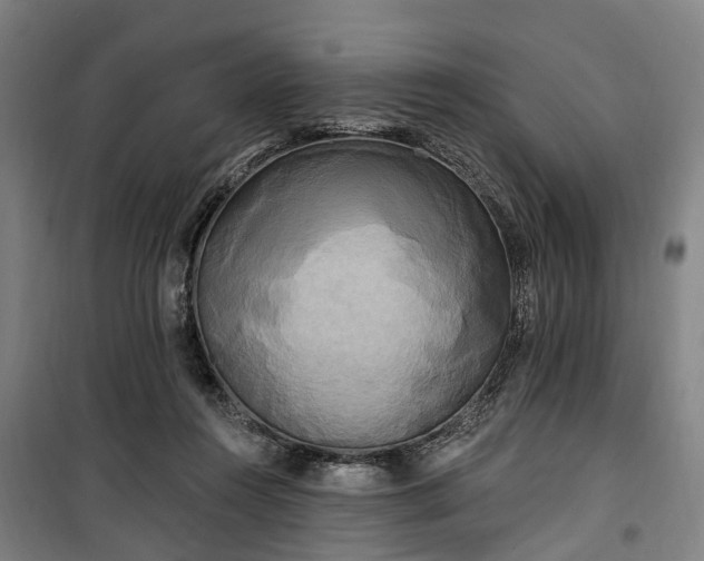 X0000100330360200806121133