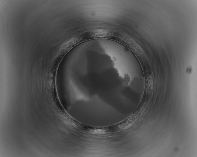 X0000100330361200806121133