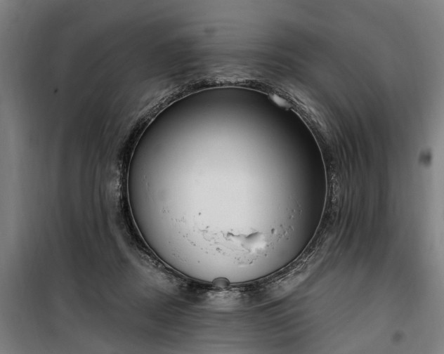 X0000100330362200806121133