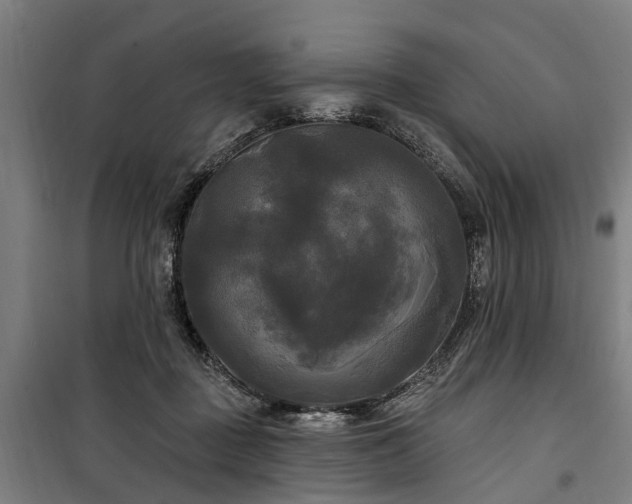 X0000100330363200806121133