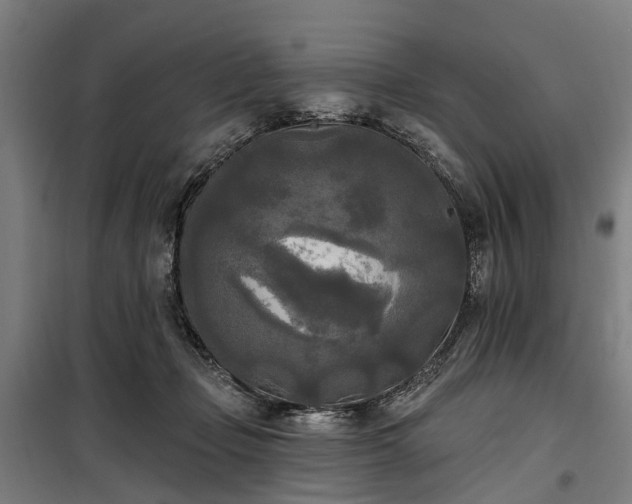 X0000100330365200806121133