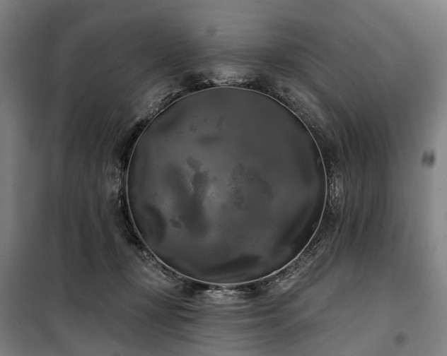 X0000100330367200806121133