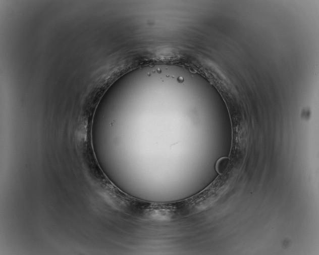 X0000100330368200806121133