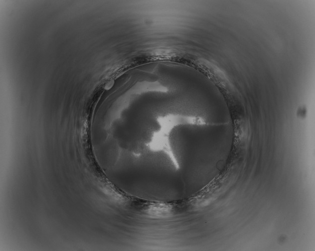 X0000100330369200806121133