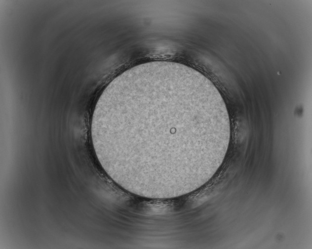 X0000100330370200806121133