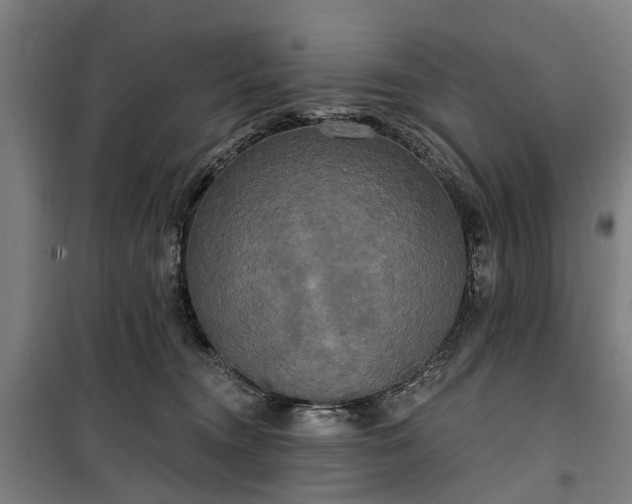 X0000100330372200806121133