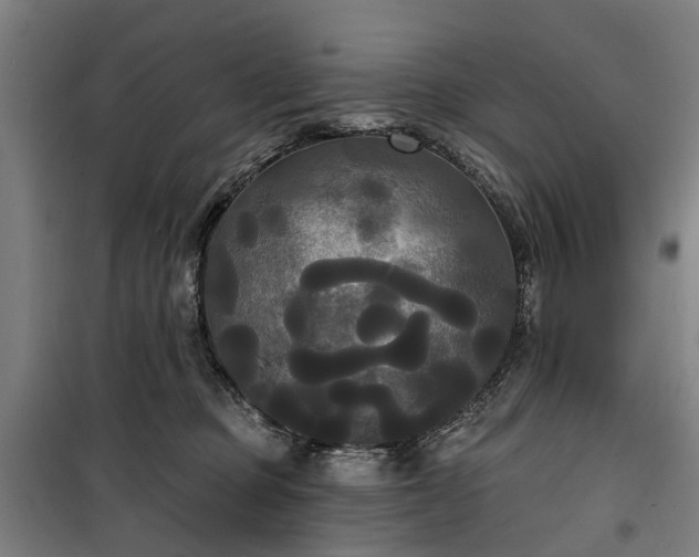 X0000100330373200806121133