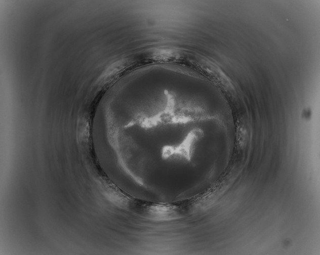 X0000100330375200806121133