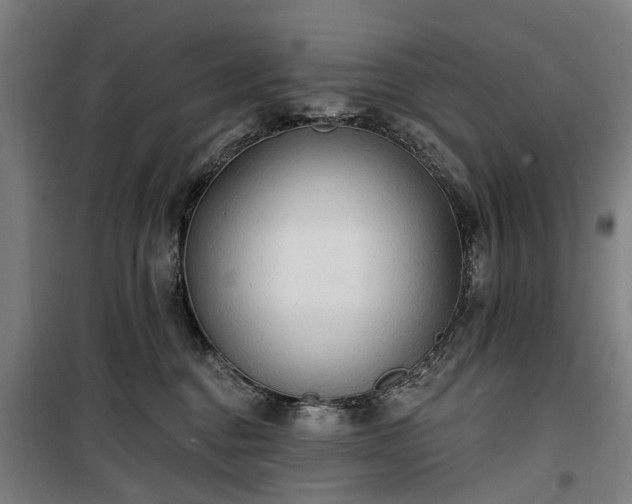 X0000100330376200806121133