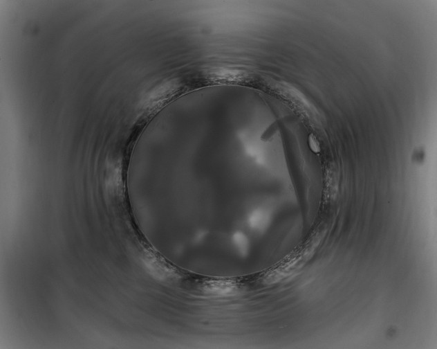 X0000100330377200806121133