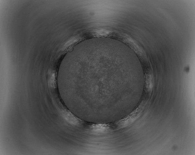 X0000100330378200806121133