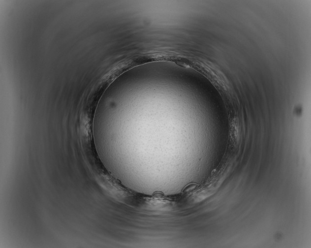 X0000100330380200806121133