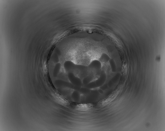 X0000100330381200806121133