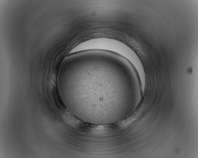 X0000100330382200806121133