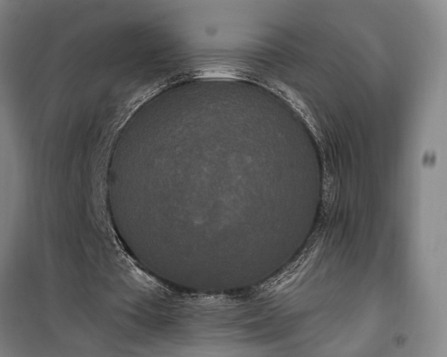 X0000100330385200806121132