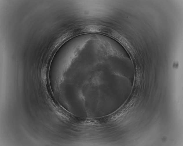 X0000100330386200806121132