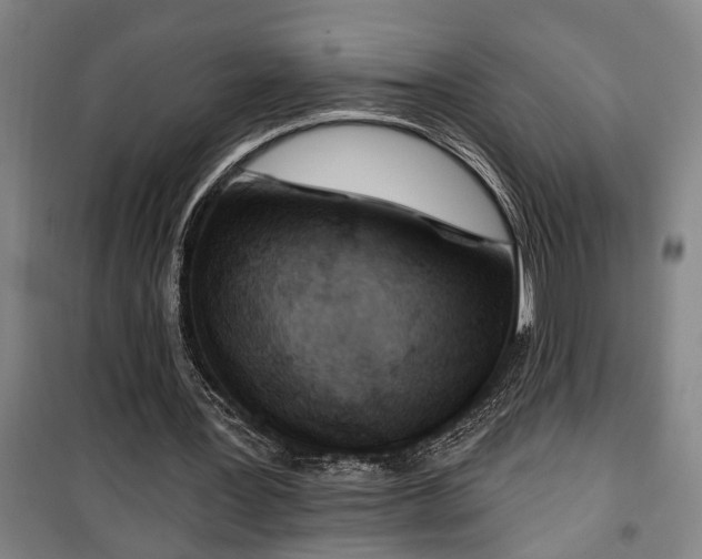 X0000100330387200806121132