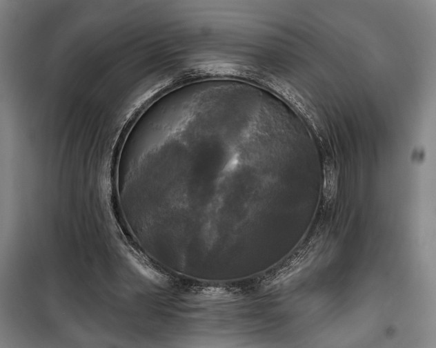 X0000100330390200806121132