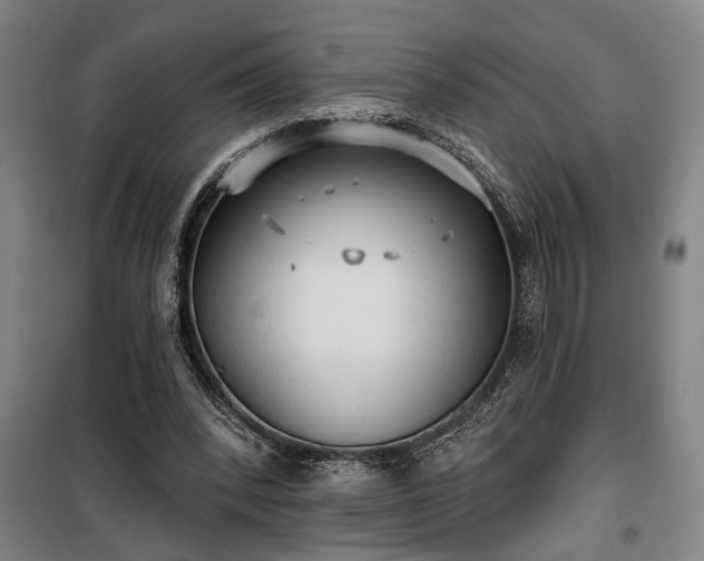 X0000100330392200806121132