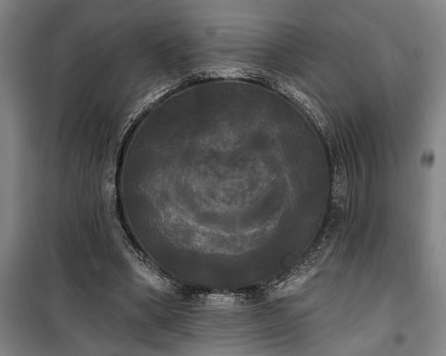 X0000100330394200806121132