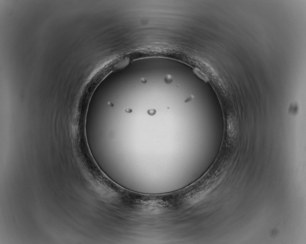 X0000100330396200806121132