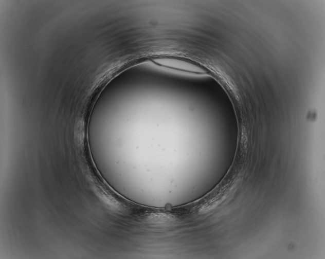 X0000100330397200806121132