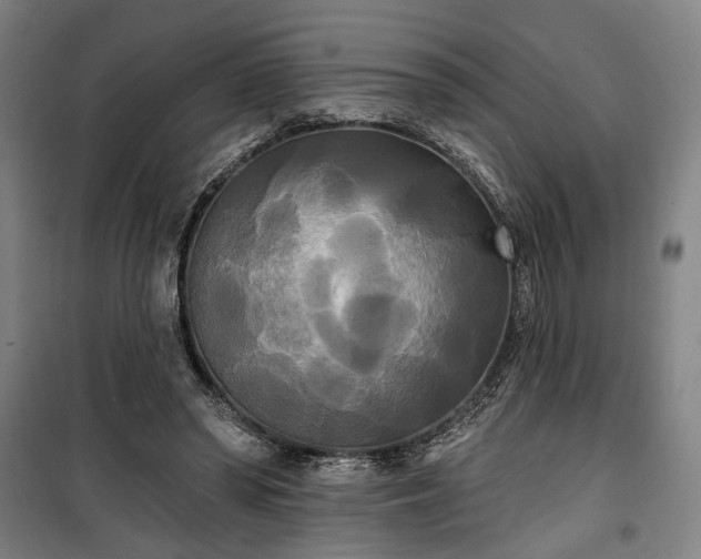 X0000100330398200806121132