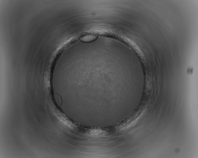 X0000100330399200806121132