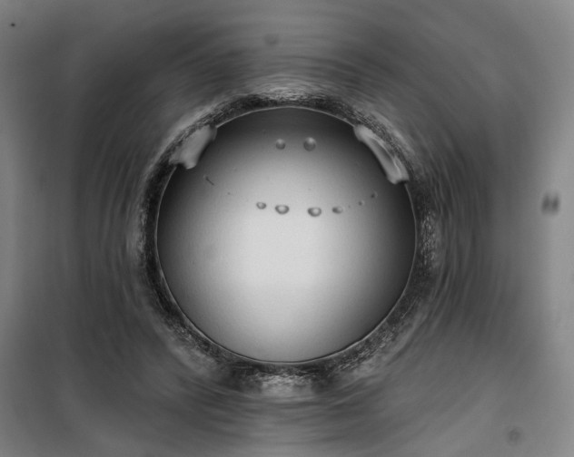 X0000100330400200806121132