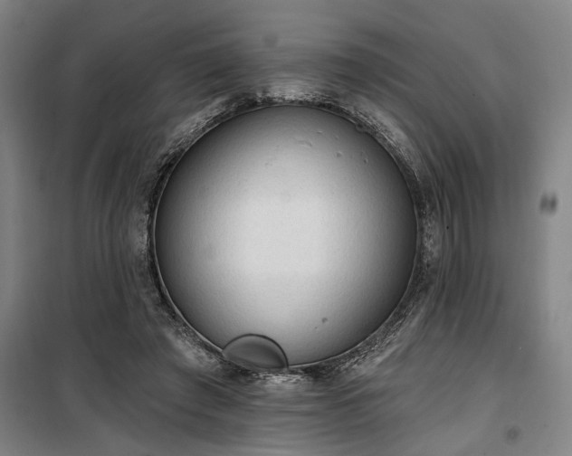 X0000100330401200806121132