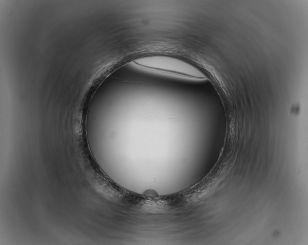 X0000100330403200806121132