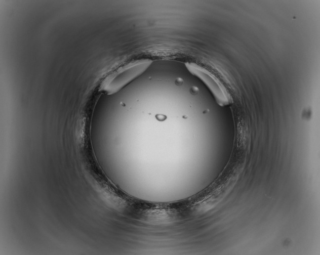 X0000100330404200806121132