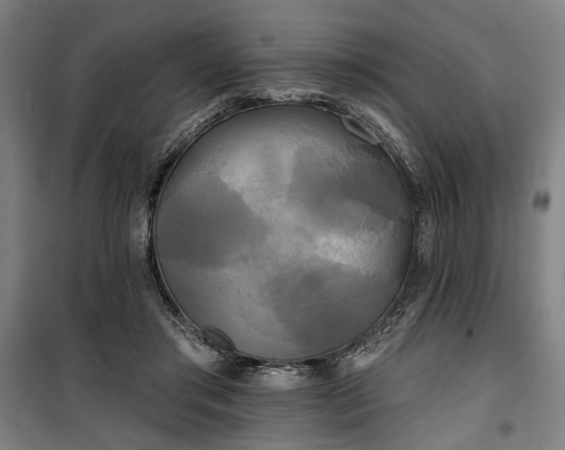 X0000100330405200806121132