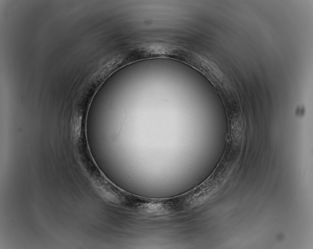 X0000100330406200806121132