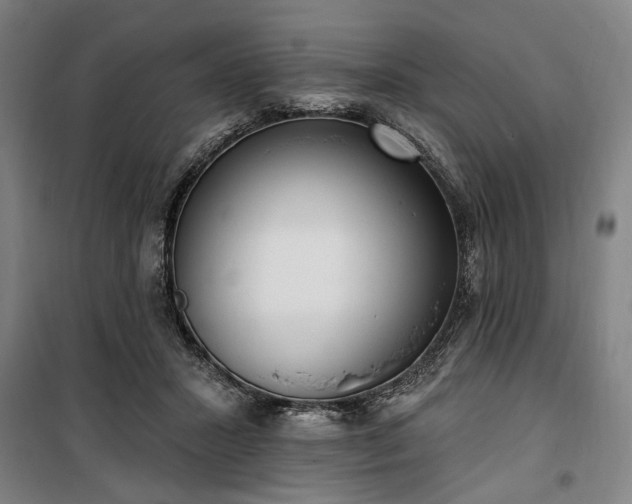 X0000100330407200806121132