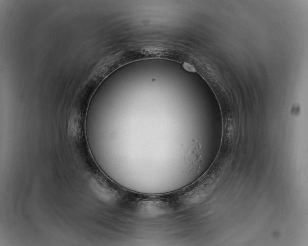 X0000100330408200806121132