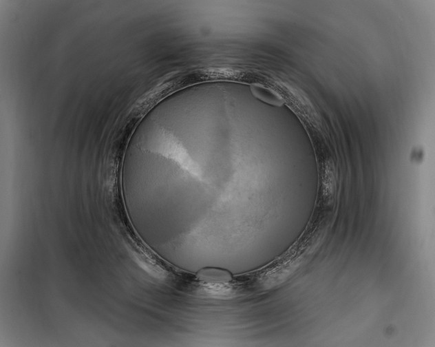 X0000100330409200806121132