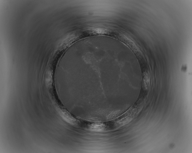 X0000100330410200806121132