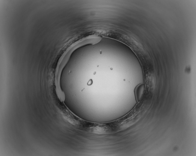 X0000100330412200806121132