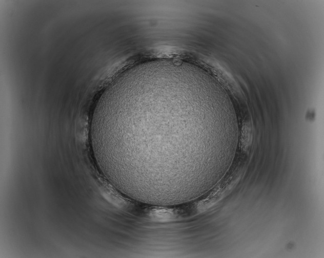 X0000100330413200806121132