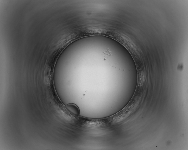 X0000100330414200806121132