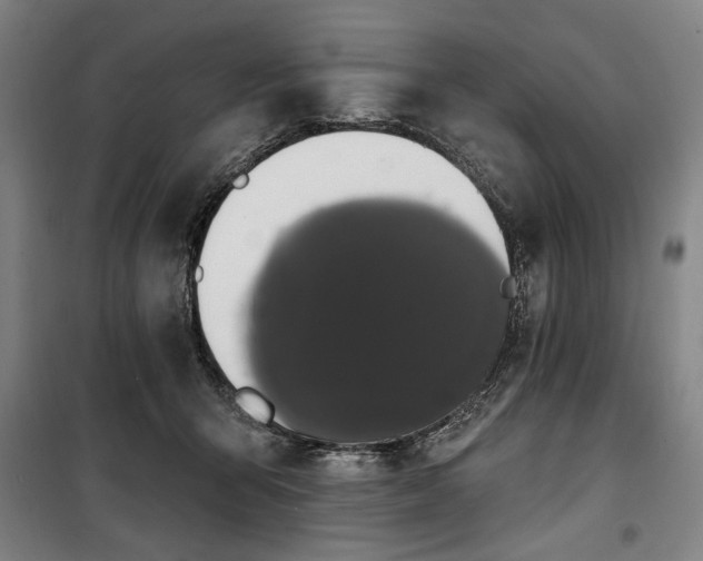 X0000100330415200806121132