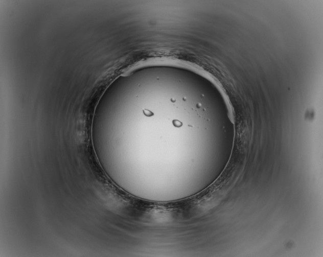 X0000100330416200806121132