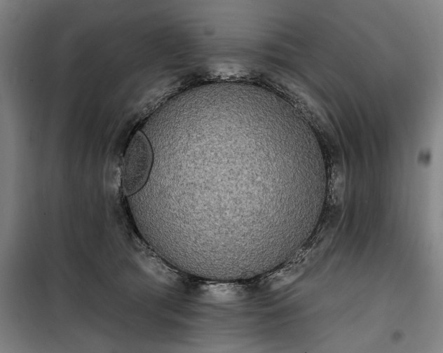 X0000100330417200806121132