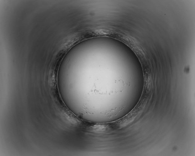 X0000100330418200806121132