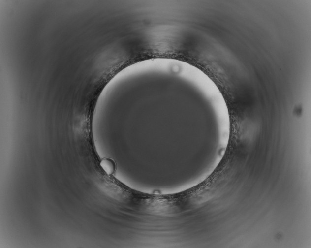 X0000100330419200806121132