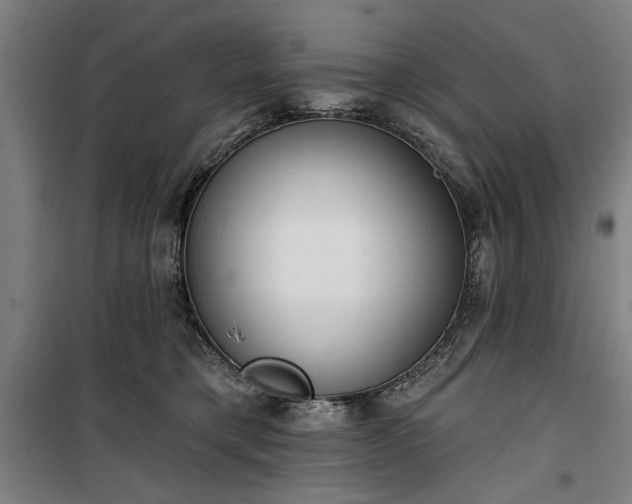 X0000100330421200806121132