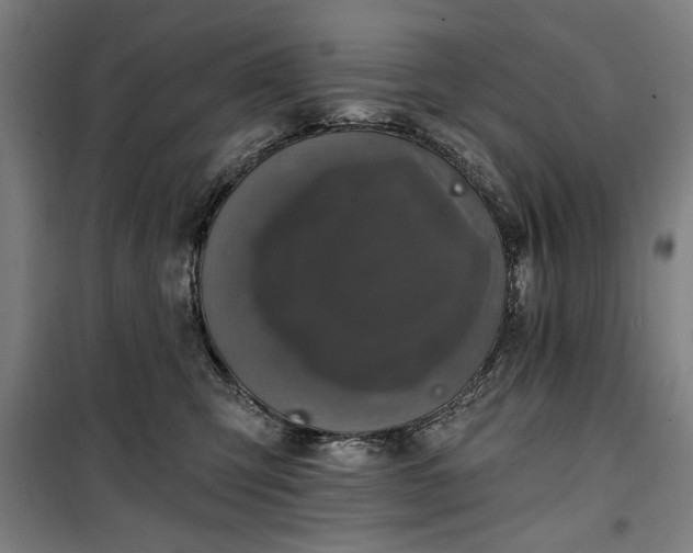 X0000100330423200806121132