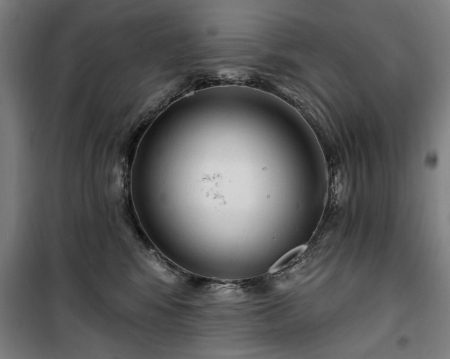 X0000100330424200806121132